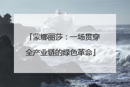 蒙娜丽莎：一场贯穿全产业链的绿色革命