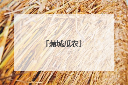 蒲城瓜农