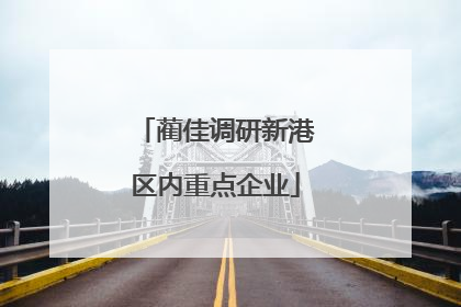 蔺佳调研新港区内重点企业