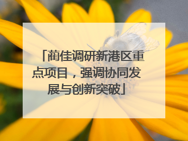 蔺佳调研新港区重点项目，强调协同发展与创新突破