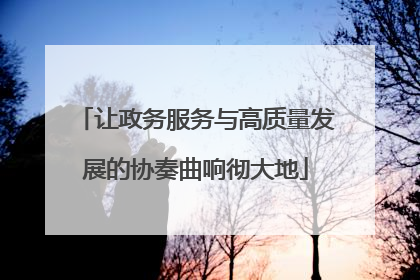 让政务服务与高质量发展的协奏曲响彻大地