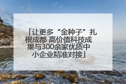 让更多“金种子”扎根成都 高价值科技成果与300余家优质中小企业精准对接