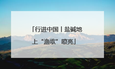 行进中国丨盐碱地上“渔歌”嘹亮