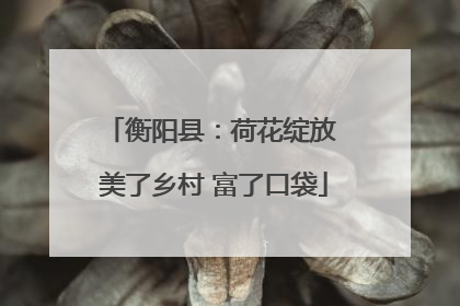 衡阳县：荷花绽放 美了乡村 富了口袋