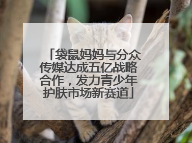 袋鼠妈妈与分众传媒达成五亿战略合作，发力青少年护肤市场新赛道