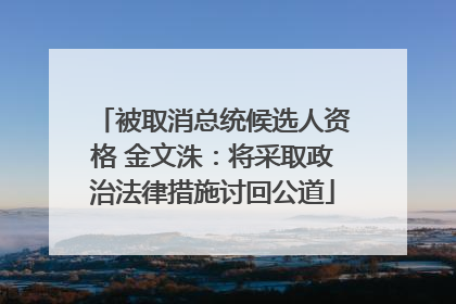 被取消总统候选人资格 金文洙：将采取政治法律措施讨回公道