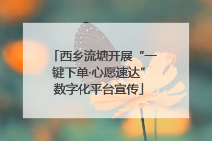 西乡流塘开展“一键下单·心愿速达”数字化平台宣传