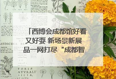 西博会成都馆好看又好耍 新场景新展品一网打尽“成都智造”｜西博视界