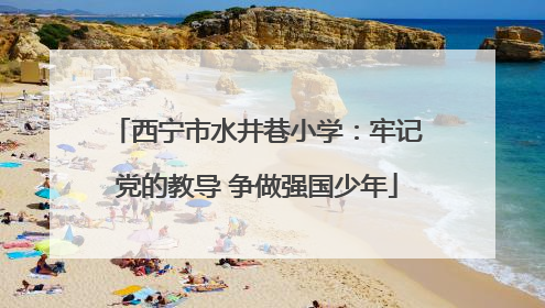 西宁市水井巷小学：牢记党的教导 争做强国少年