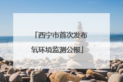 西宁市首次发布氧环境监测公报