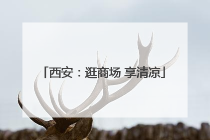 西安：逛商场 享清凉