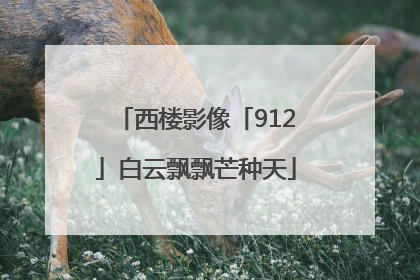 西楼影像「912」白云飘飘芒种天