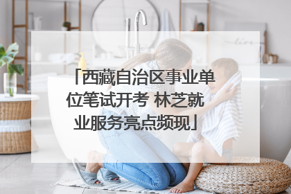 西藏自治区事业单位笔试开考 林芝就业服务亮点频现