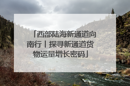 西部陆海新通道向南行丨探寻新通道货物运量增长密码