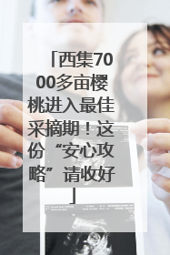 西集7000多亩樱桃进入最佳采摘期！这份“安心攻略”请收好