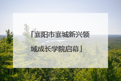 襄阳市襄城新兴领域成长学院启幕