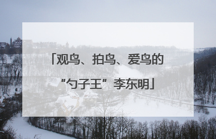 观鸟、拍鸟、爱鸟的“勺子王”李东明