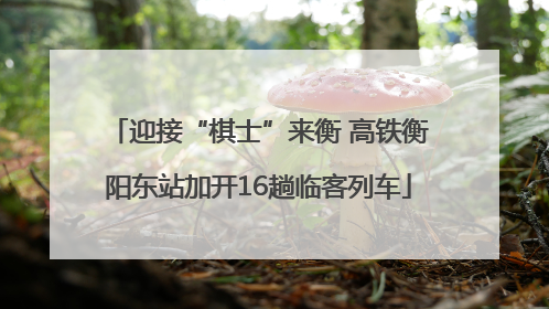 迎接“棋士”来衡 高铁衡阳东站加开16趟临客列车
