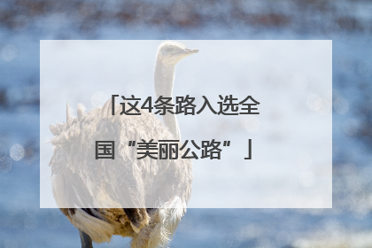这4条路入选全国“美丽公路”