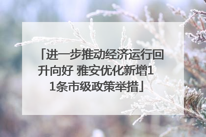 进一步推动经济运行回升向好 雅安优化新增11条市级政策举措