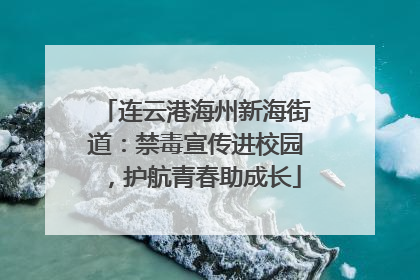 连云港海州新海街道：禁毒宣传进校园，护航青春助成长