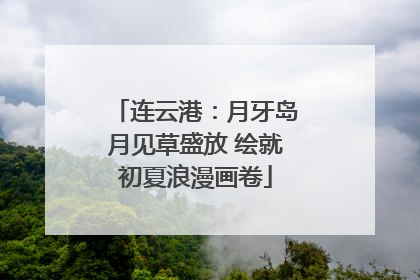 连云港：月牙岛月见草盛放 绘就初夏浪漫画卷