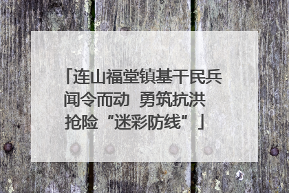 连山福堂镇基干民兵闻令而动  勇筑抗洪抢险“迷彩防线”