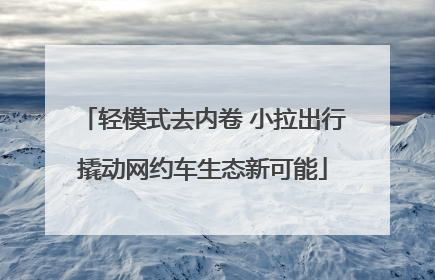 轻模式去内卷 小拉出行撬动网约车生态新可能