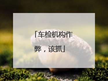 车检机构作弊，该抓