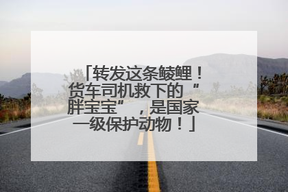 转发这条鲮鲤！货车司机救下的“胖宝宝”，是国家一级保护动物！