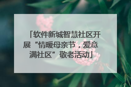 软件新城智慧社区开展“情暖母亲节，爱意满社区”敬老活动