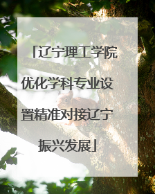 辽宁理工学院优化学科专业设置精准对接辽宁振兴发展