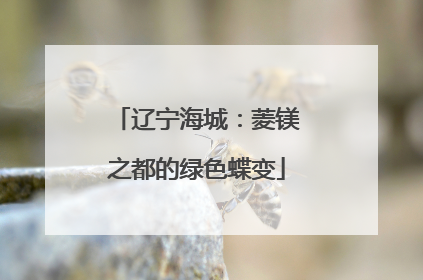 辽宁海城：菱镁之都的绿色蝶变
