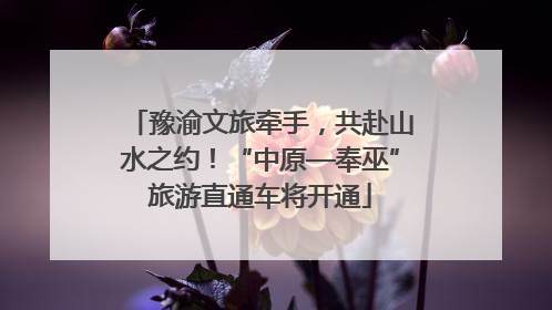 豫渝文旅牵手，共赴山水之约！“中原—奉巫”旅游直通车将开通