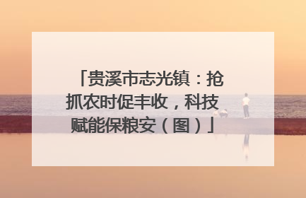 贵溪市志光镇：抢抓农时促丰收，科技赋能保粮安（图）