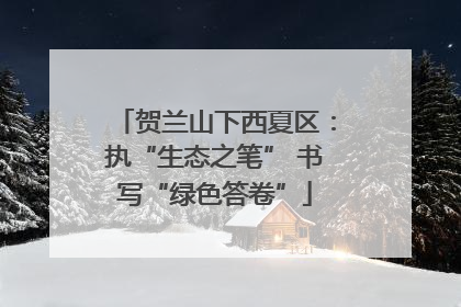 贺兰山下西夏区：执“生态之笔” 书写“绿色答卷”