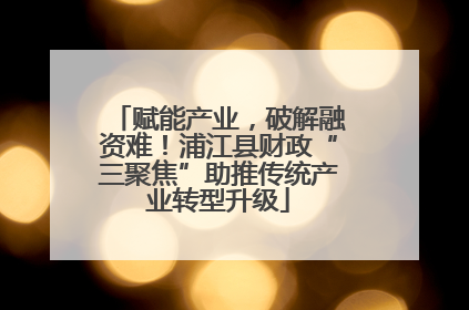 赋能产业，破解融资难！浦江县财政“三聚焦”助推传统产业转型升级