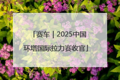 赛车｜2025中国环塔国际拉力赛收官
