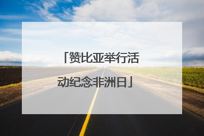 赞比亚举行活动纪念非洲日