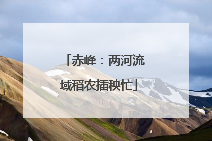 赤峰：两河流域稻农插秧忙