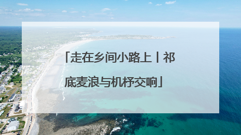 走在乡间小路上丨祁底麦浪与机杼交响