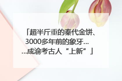 超半斤重的秦代金饼、3000多年前的象牙……成渝考古人“上新”