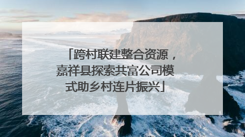 跨村联建整合资源，嘉祥县探索共富公司模式助乡村连片振兴