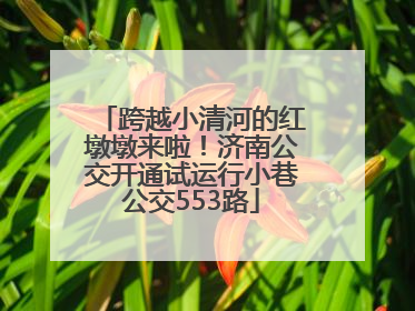 跨越小清河的红墩墩来啦！济南公交开通试运行小巷公交553路