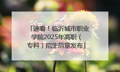 速看！临沂城市职业学院2025年高职（专科）招生简章发布