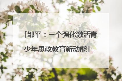 邹平：三个强化激活青少年思政教育新动能