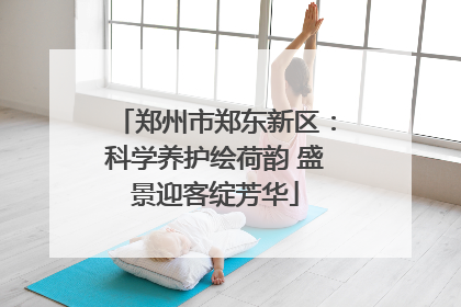 郑州市郑东新区：科学养护绘荷韵 盛景迎客绽芳华