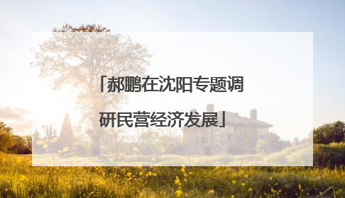 郝鹏在沈阳专题调研民营经济发展