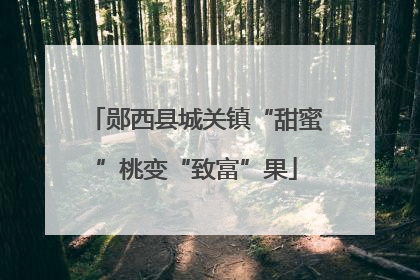 郧西县城关镇“甜蜜”桃变“致富”果