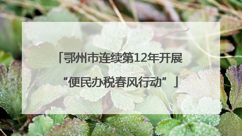 鄂州市连续第12年开展“便民办税春风行动”